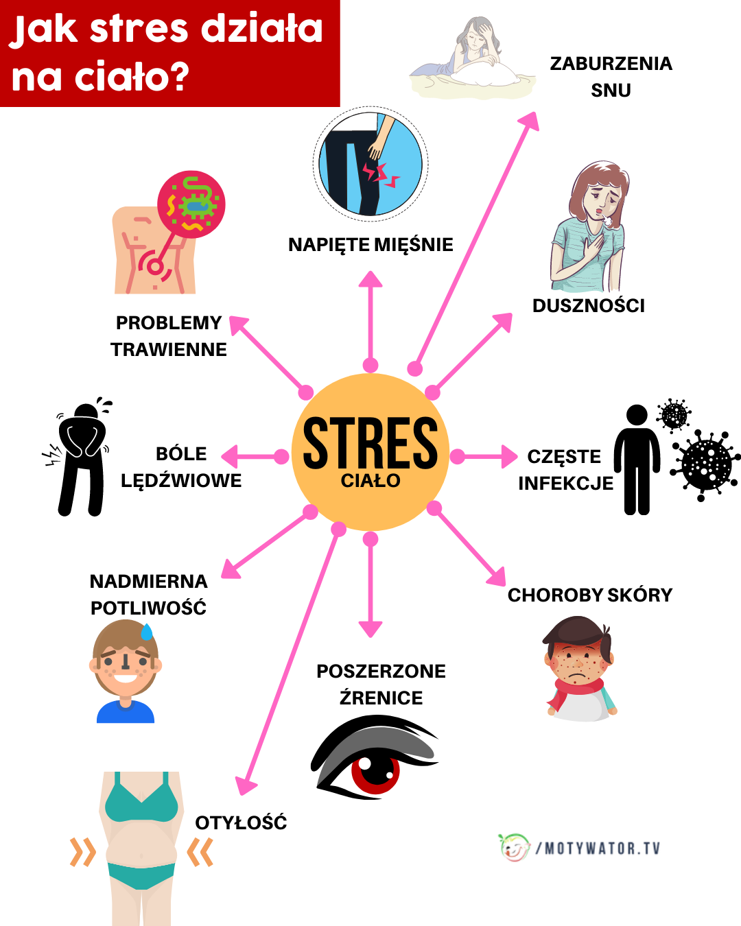 Jak stres spowalnia procesy spalania tkanki tłuszczowej