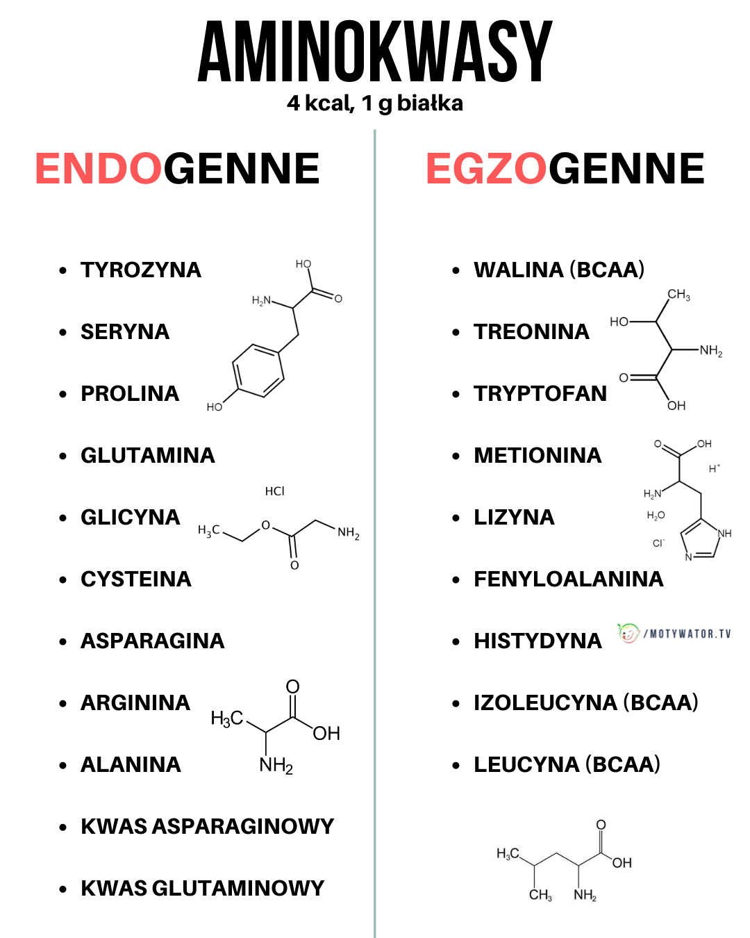 Podział aminokwasów endogennych i egzogennych