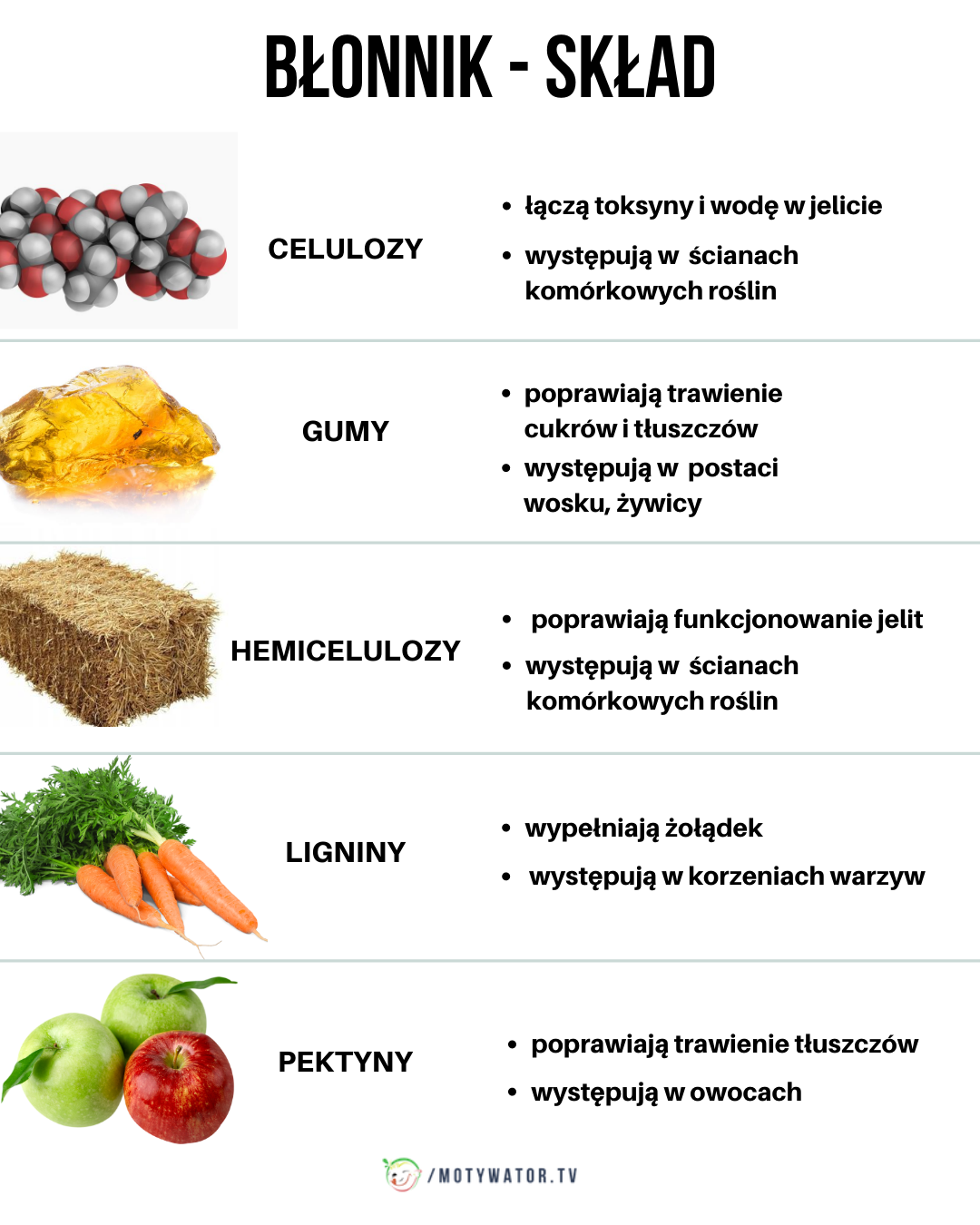 Rodzaje i funkcje błonnika