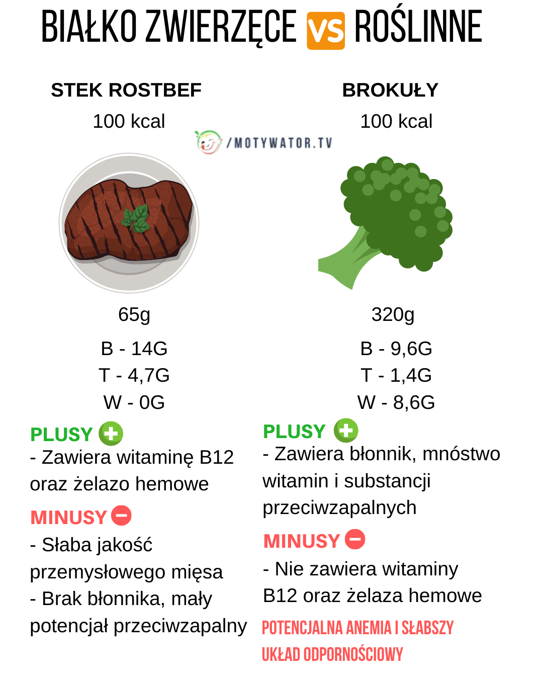 Porównanie białka zwierzęcego i roślinnego