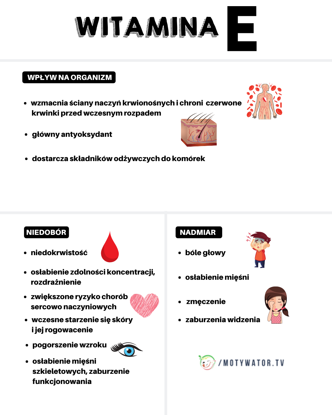 Witamina E – wpływ na organizm, niedobór, nadmiar
