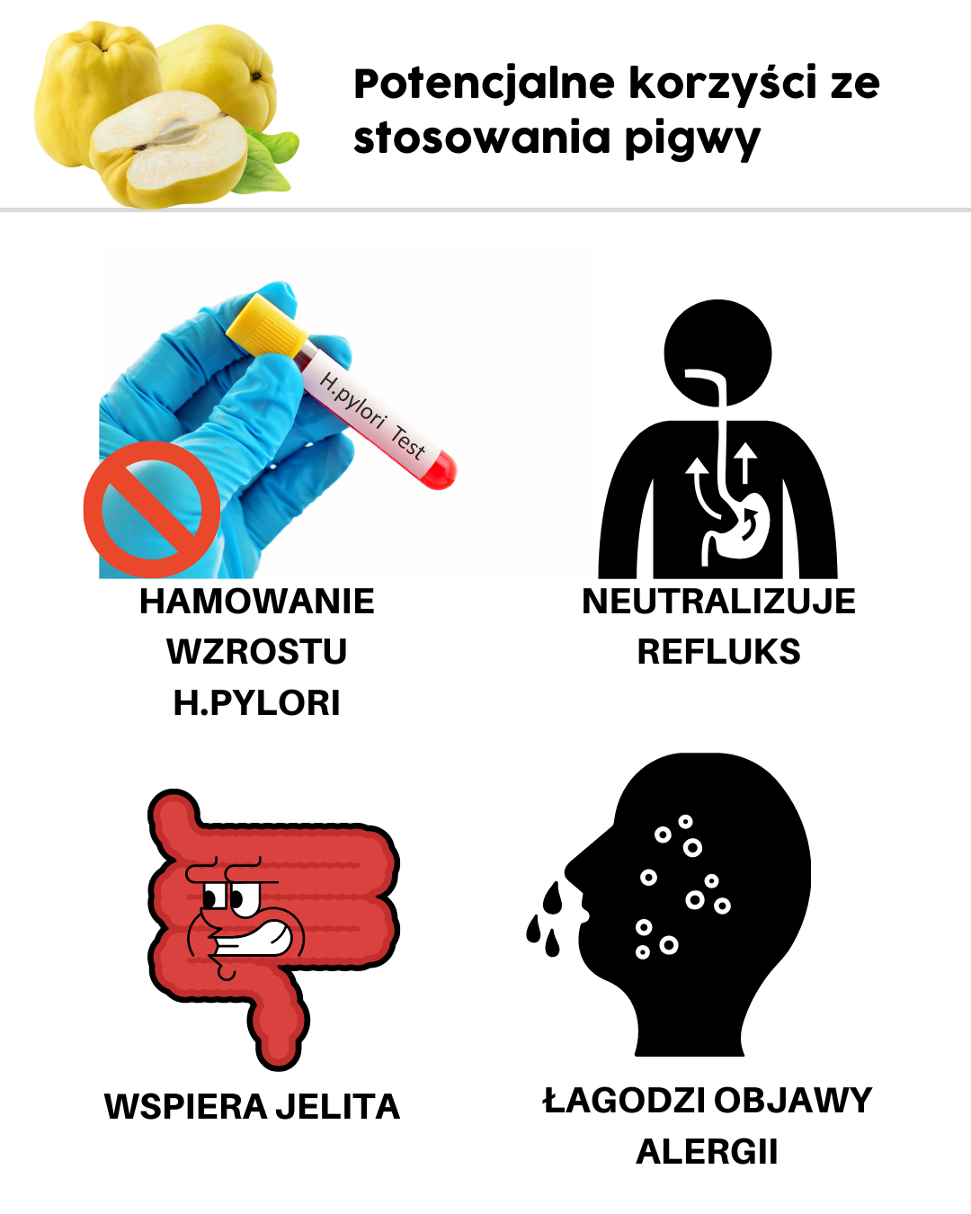 Potencjalne korzyści ze stosowania pigwy