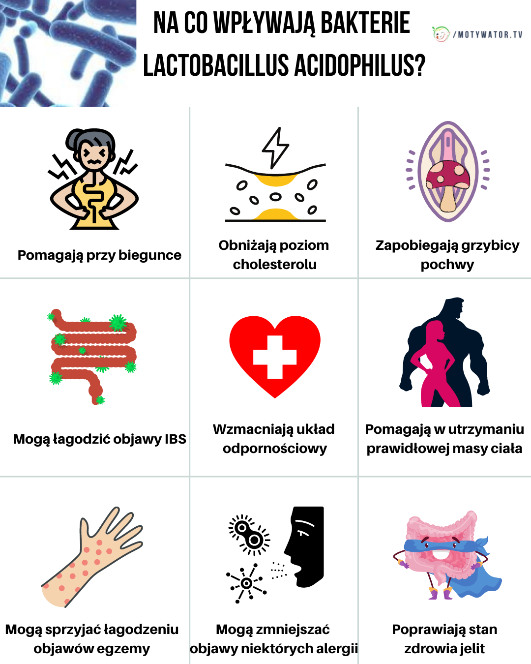 Lactobacillus acidophilus – jak wpływa na Twoje zdrowie?