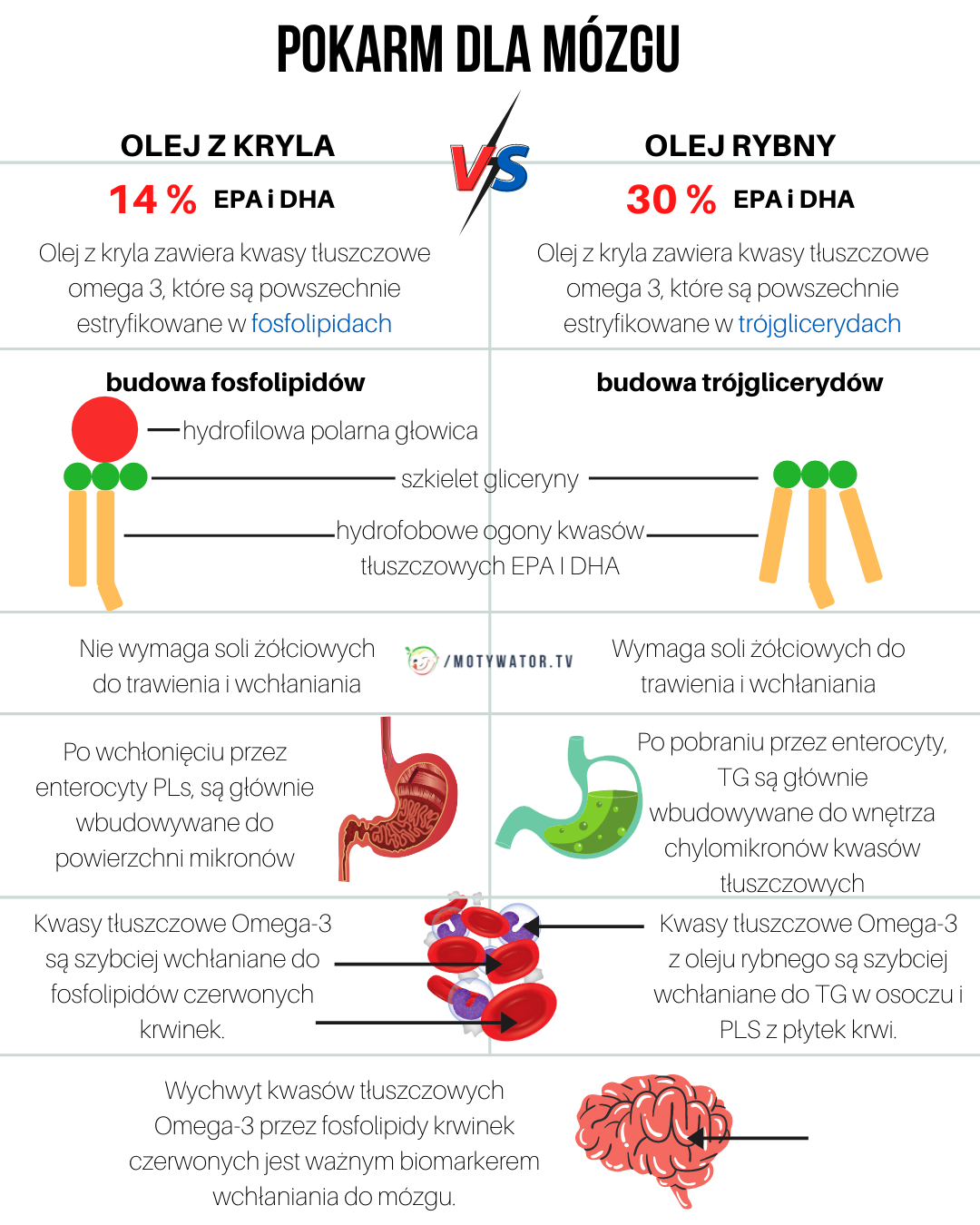 Pokarm dla mózgu - część 1