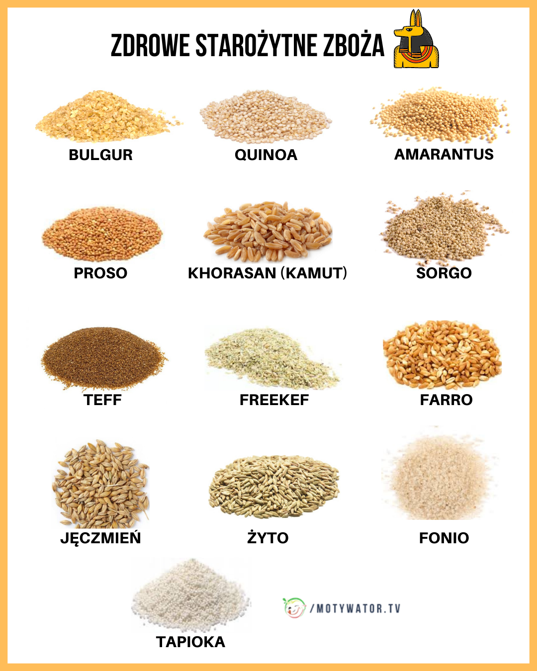 Zdrowe starożytne zboża