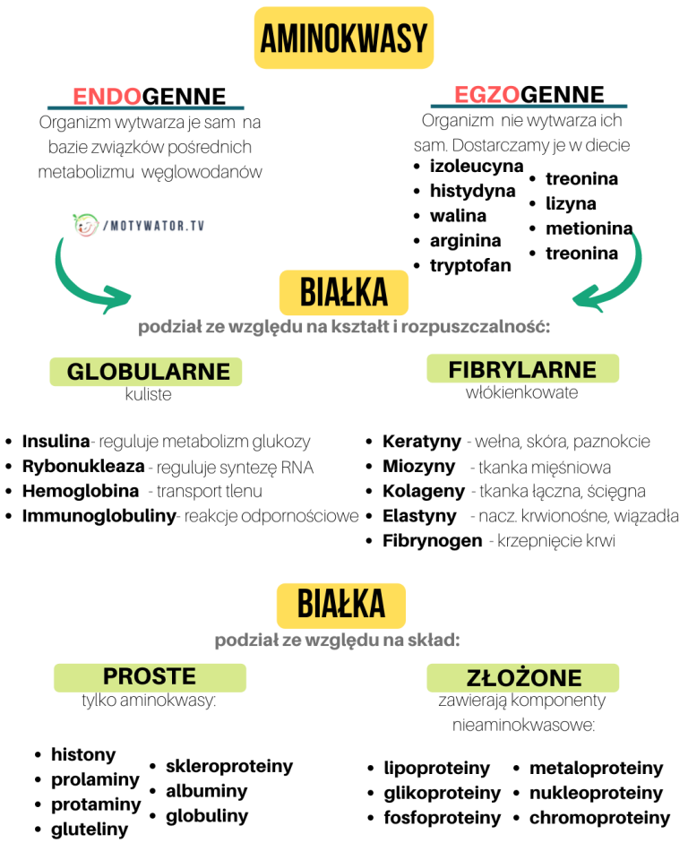 białka złożone motywator.tv