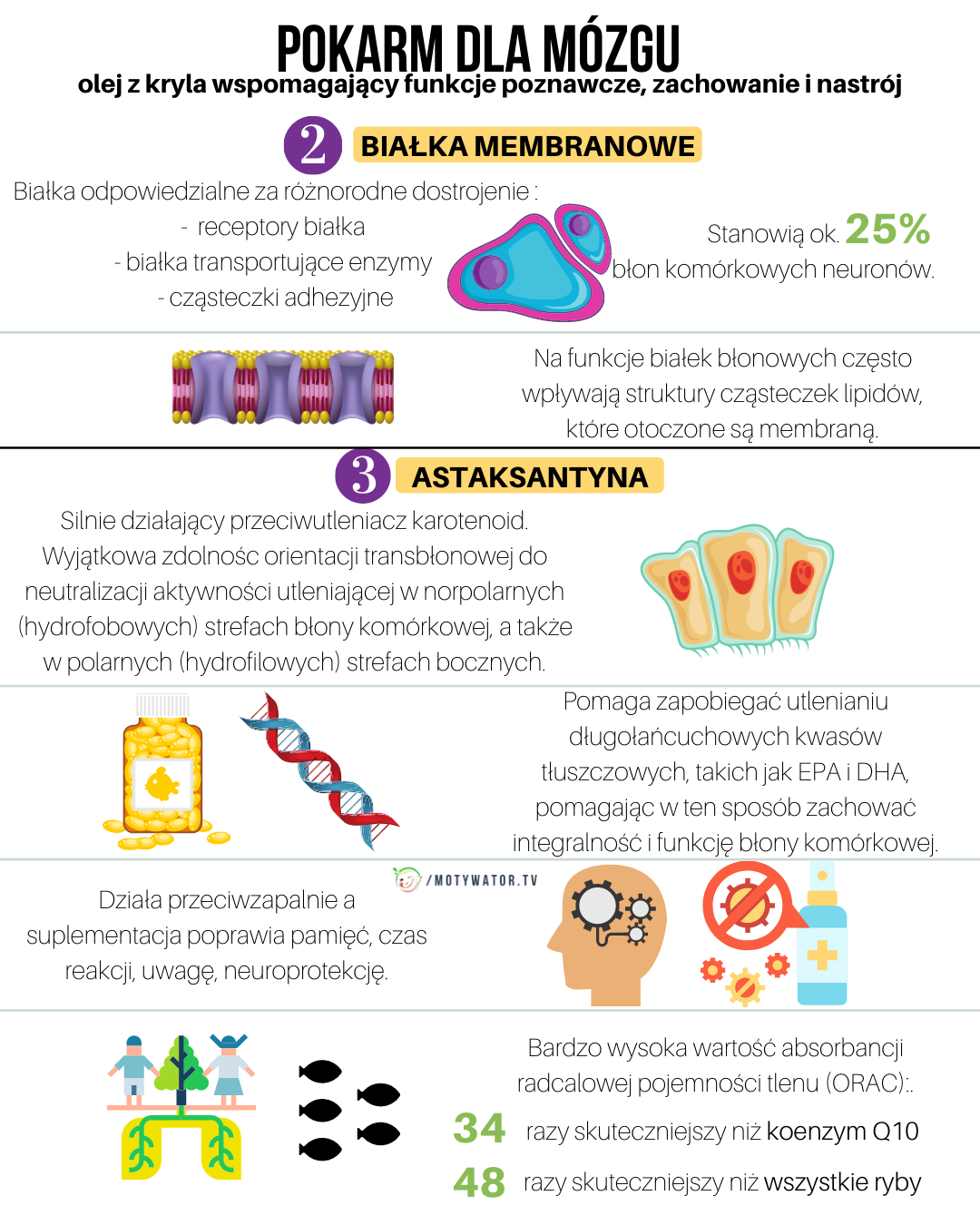 Pokarm dla mózgu - część 6