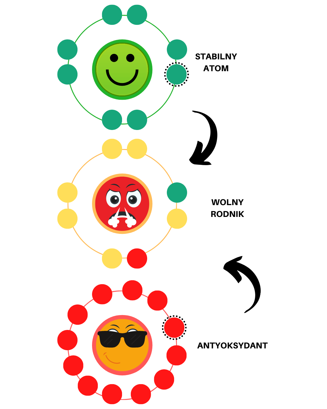 Jak działa stres oksydacyjny - część 2