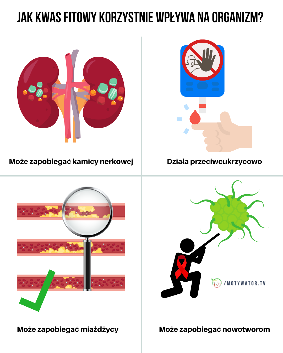 Jak  kwas fitowy korzystnie wpływa na organizm ?