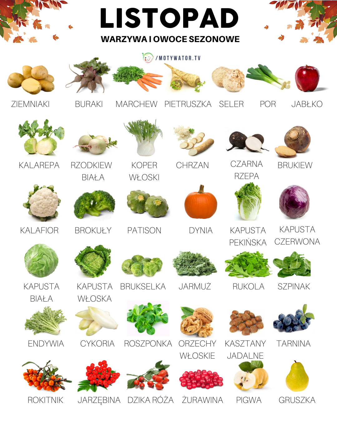 Warzywa i owoce sezonowe w listopadzie