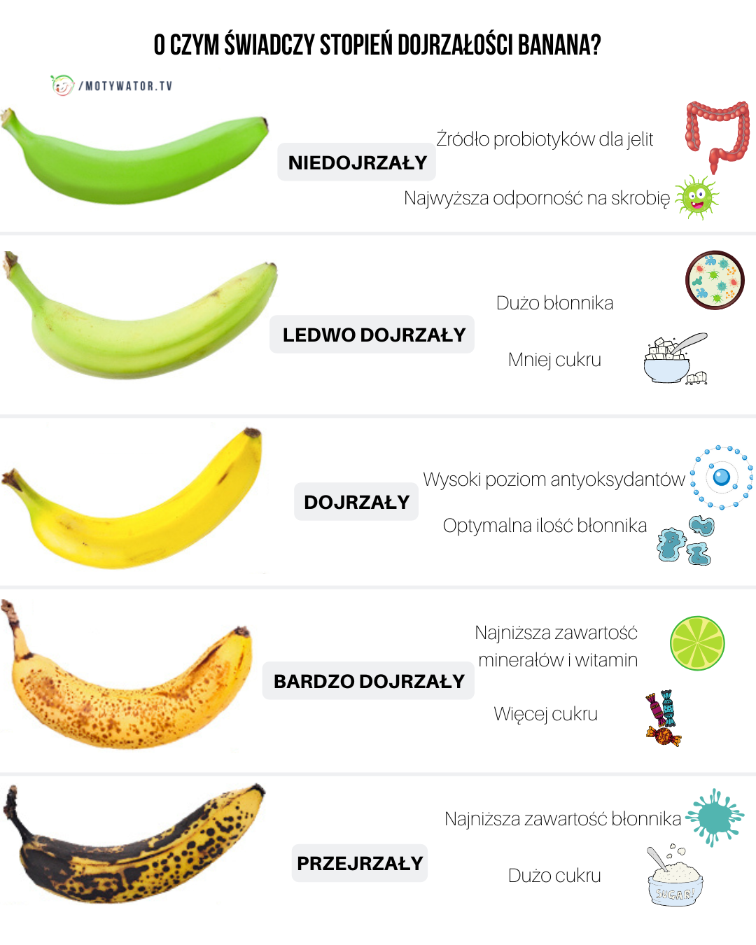 O czym świadczy stopień dojrzałości banana ?