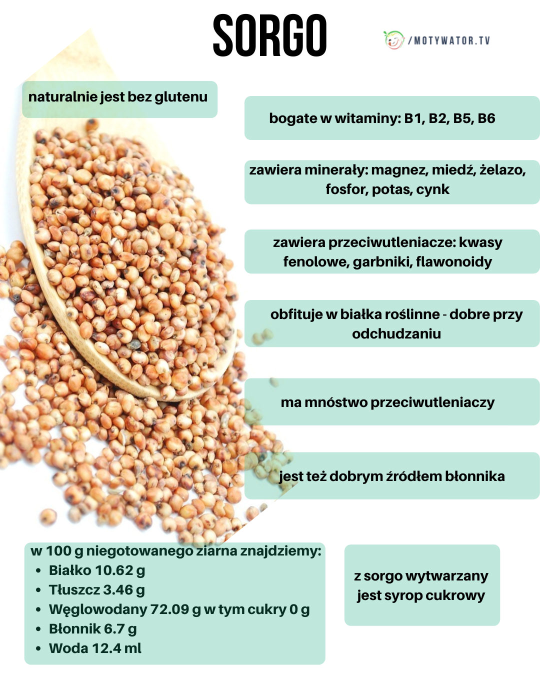 Sorgo - wartości odzywcze