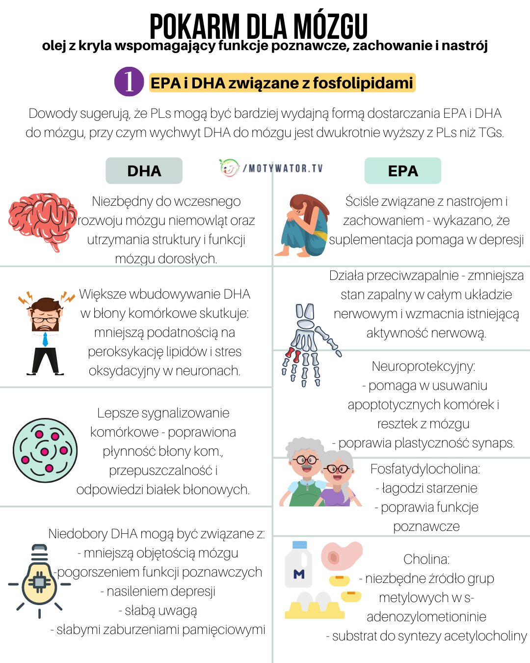 Pokarm dla mózgu - część 5