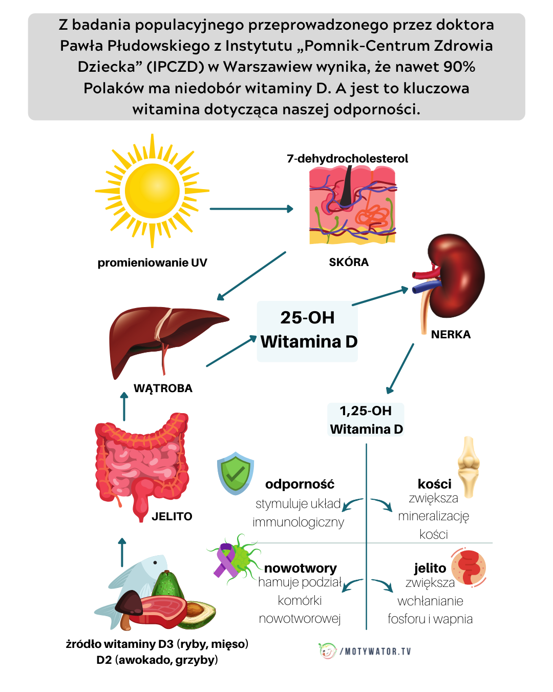 Witamina D - znaczenie dla organizmu