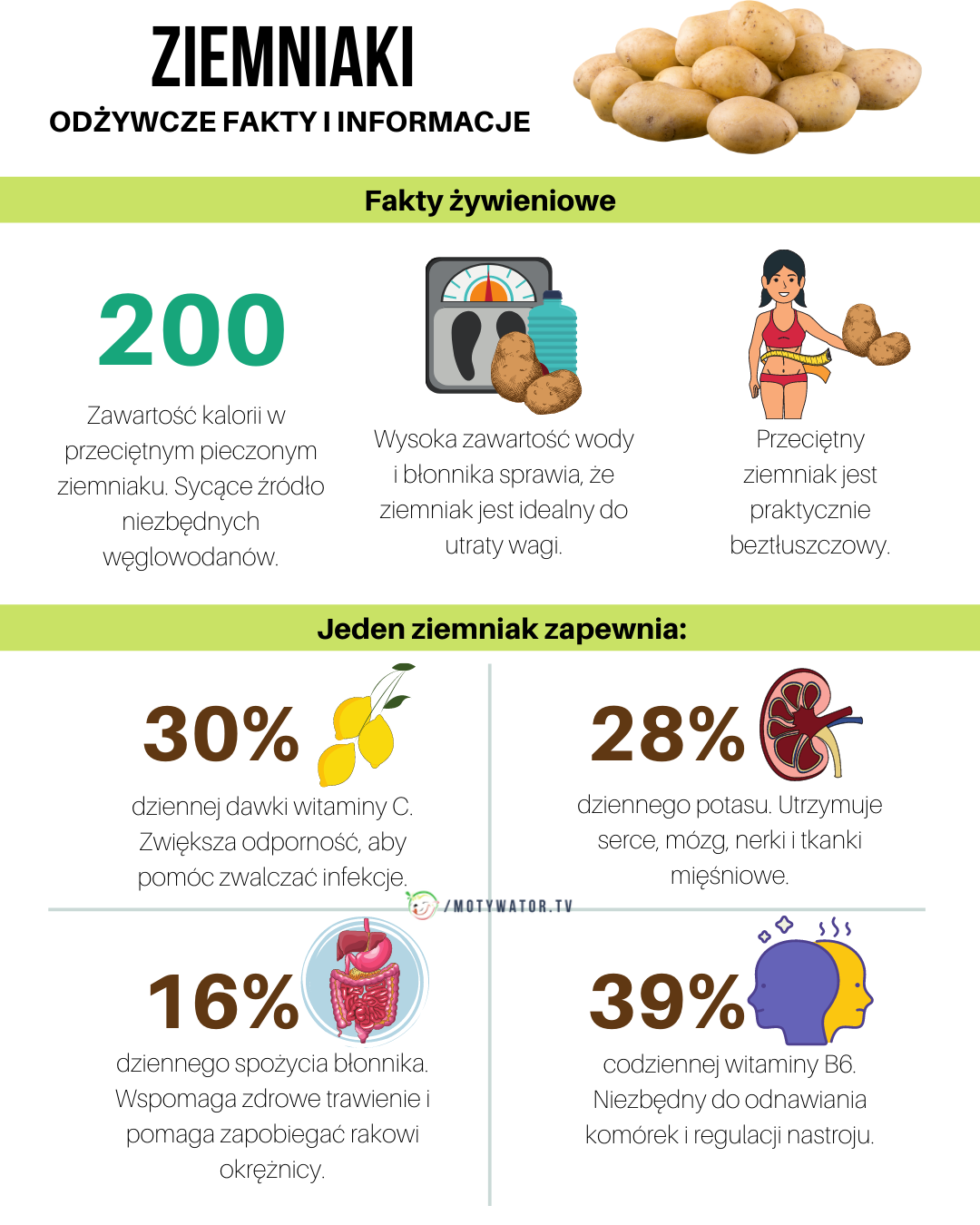 Ziemniaki wartości odżywcze - fakty i informacje - część 2