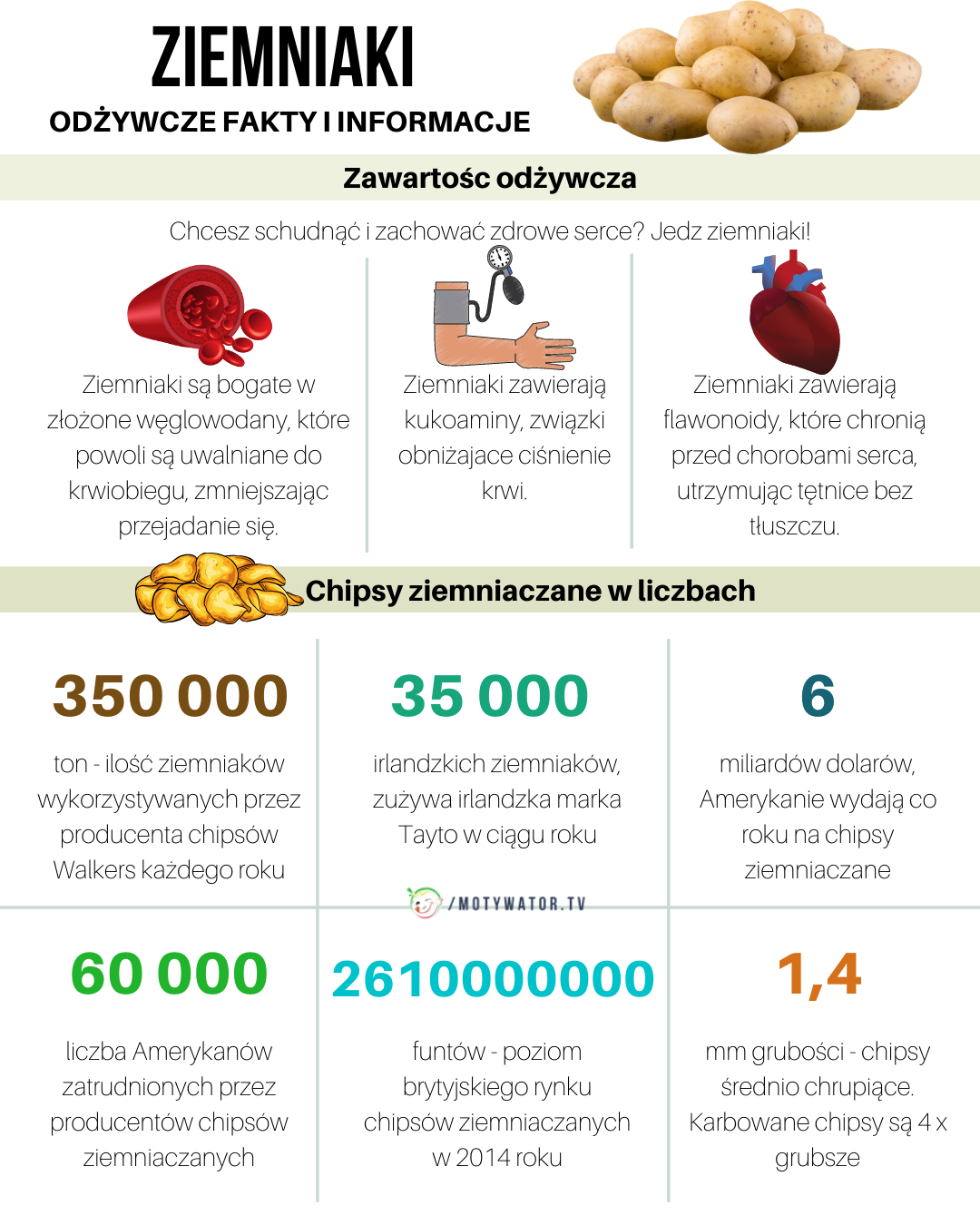 Ziemniaki, wartości odżywcze - fakty i informacje - część 1