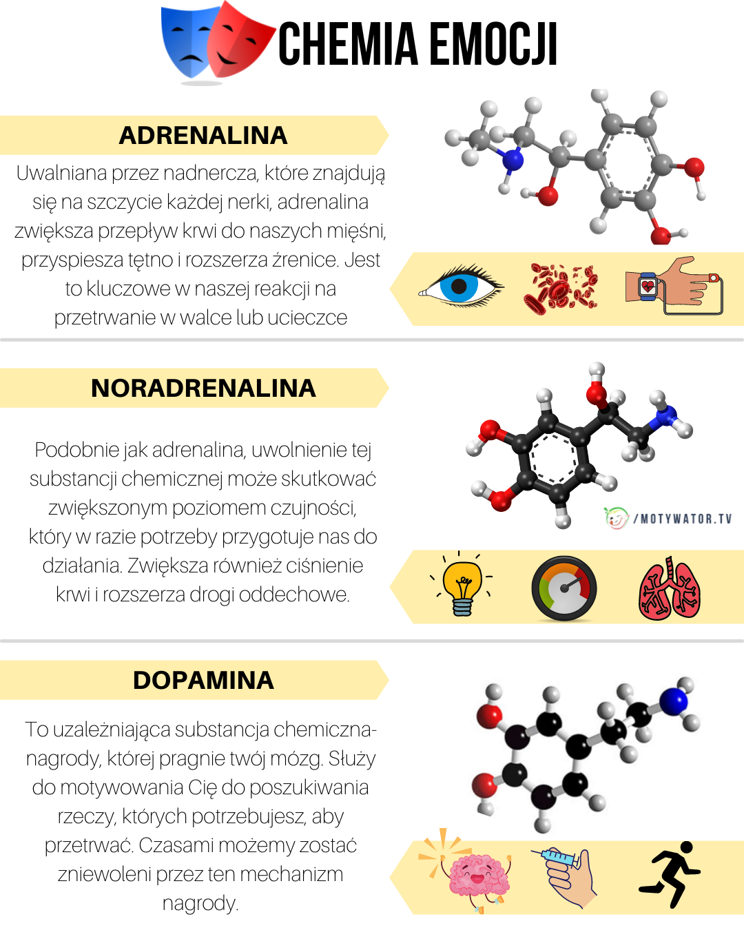 Chemia  emocji - część 2
