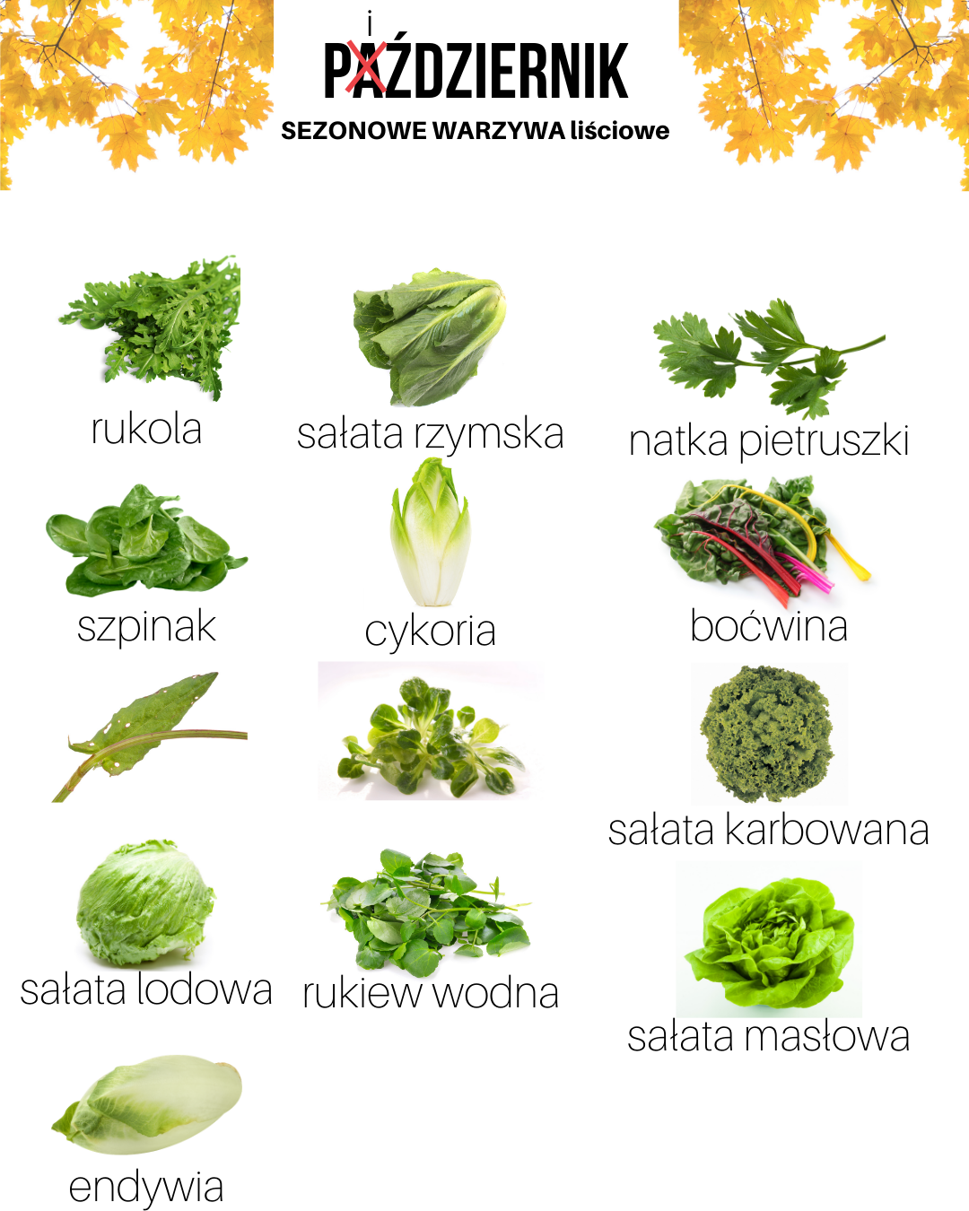 Sezonowe warzywa liściowe - październik - część 2