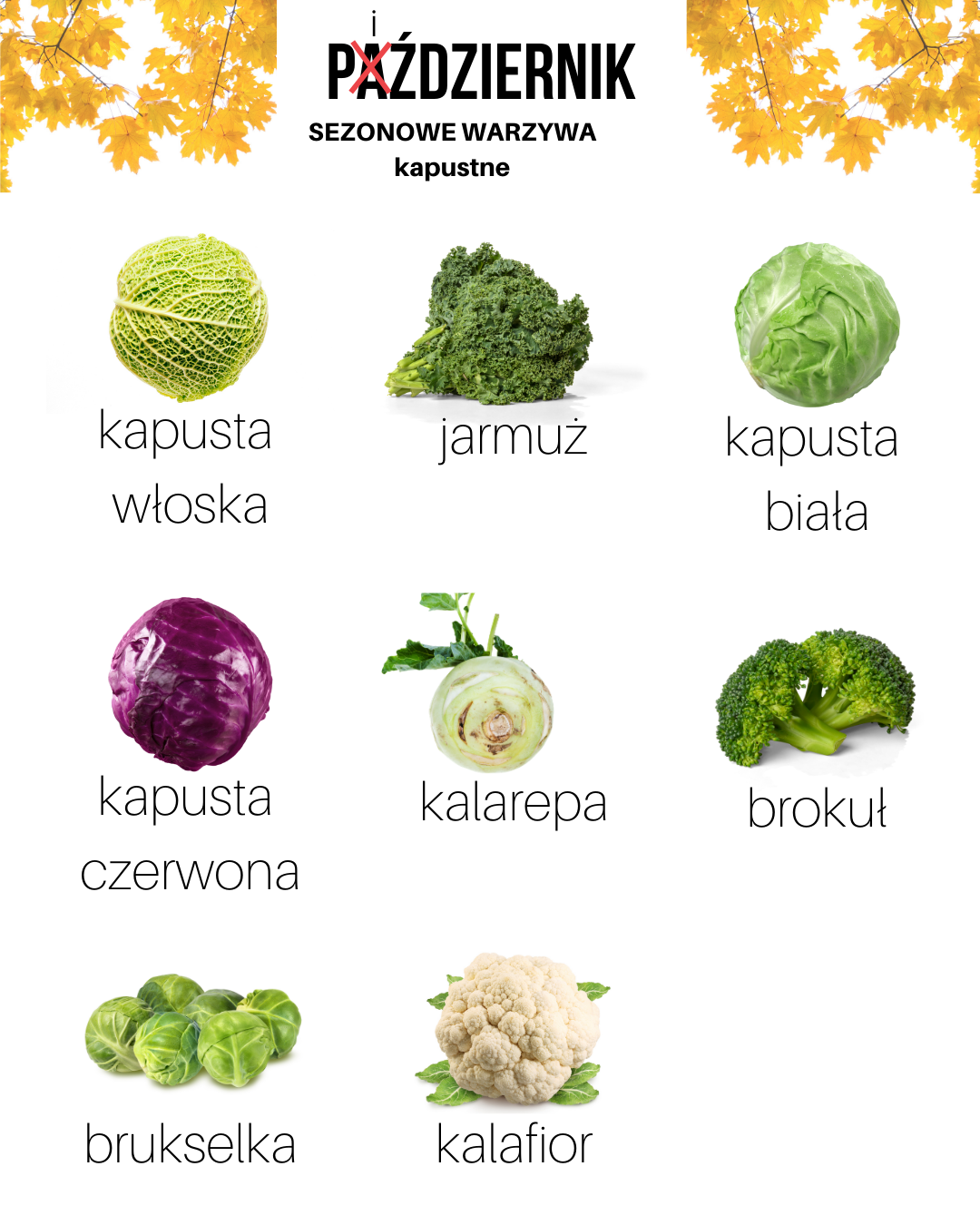 Sezonowe warzywa kapustne - październik - część 4