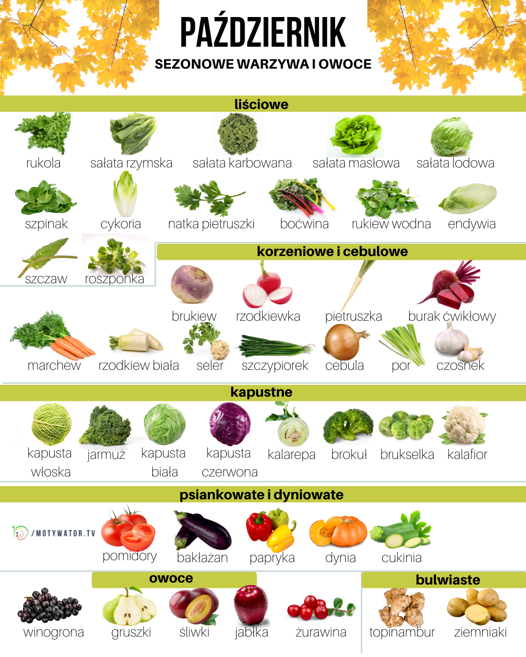 Sezonowe warzywa i owoce - podsumowanie - październik - część 6