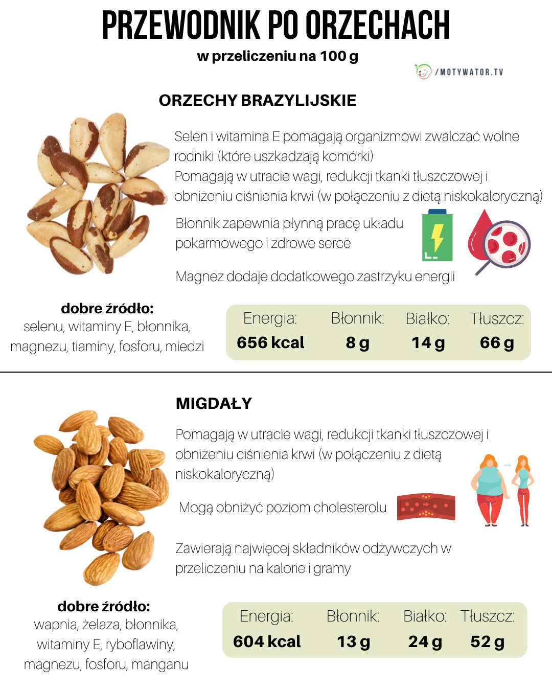 Przewodnik po orzechach - część 1