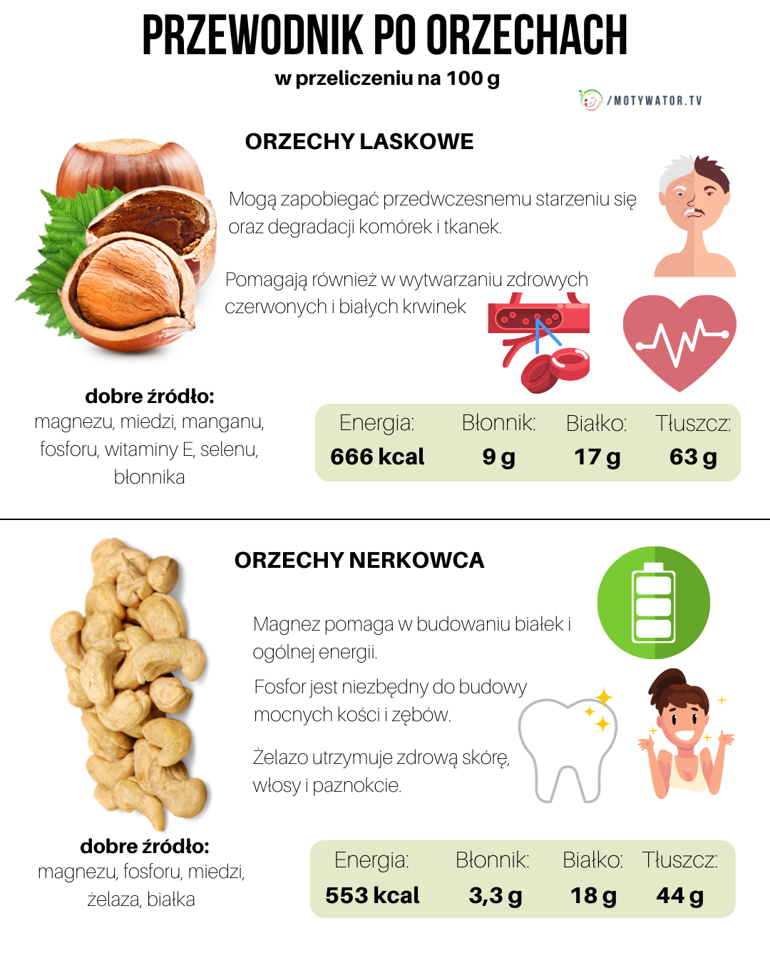 Przewodnik po orzechach - część 2