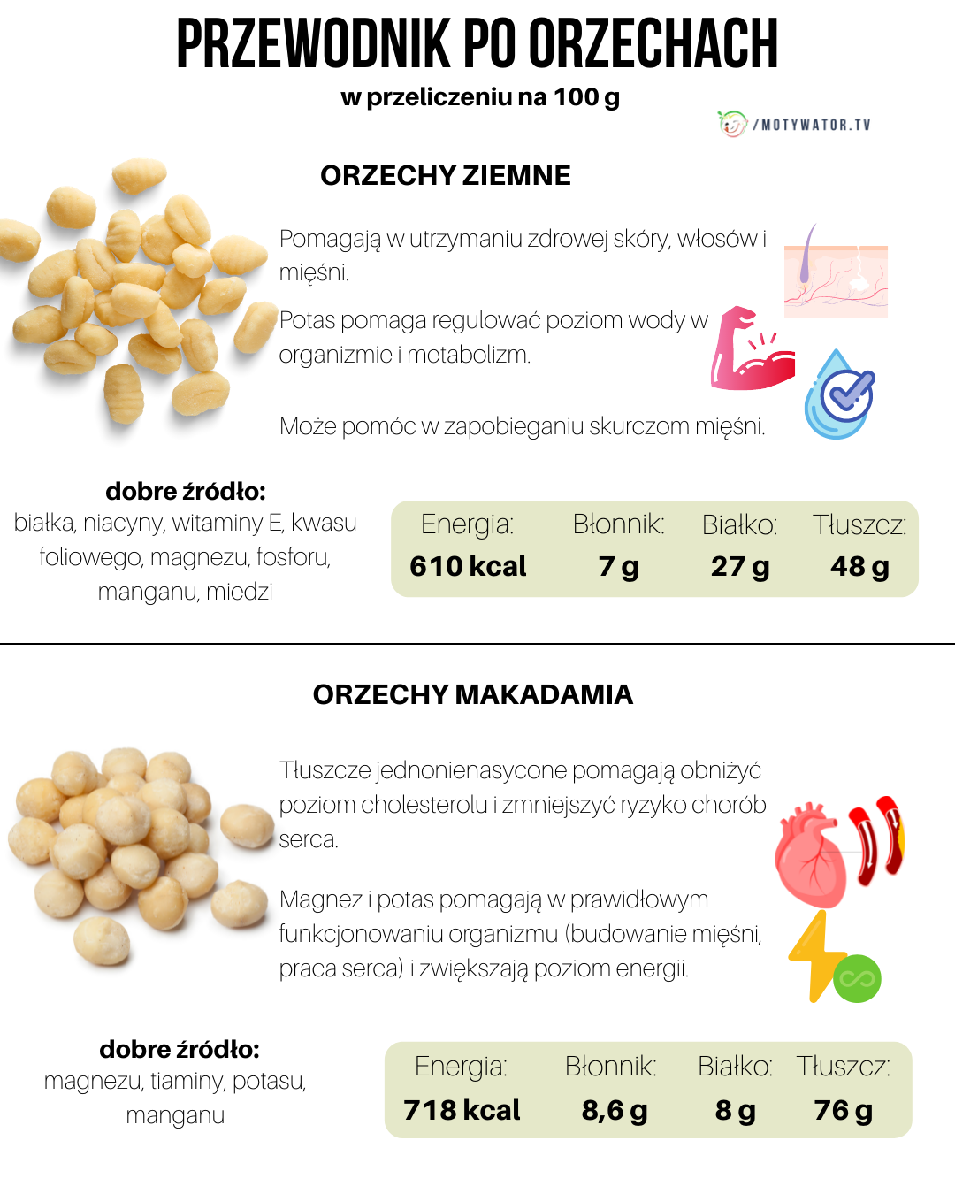Przewodnik po orzechach - część 3