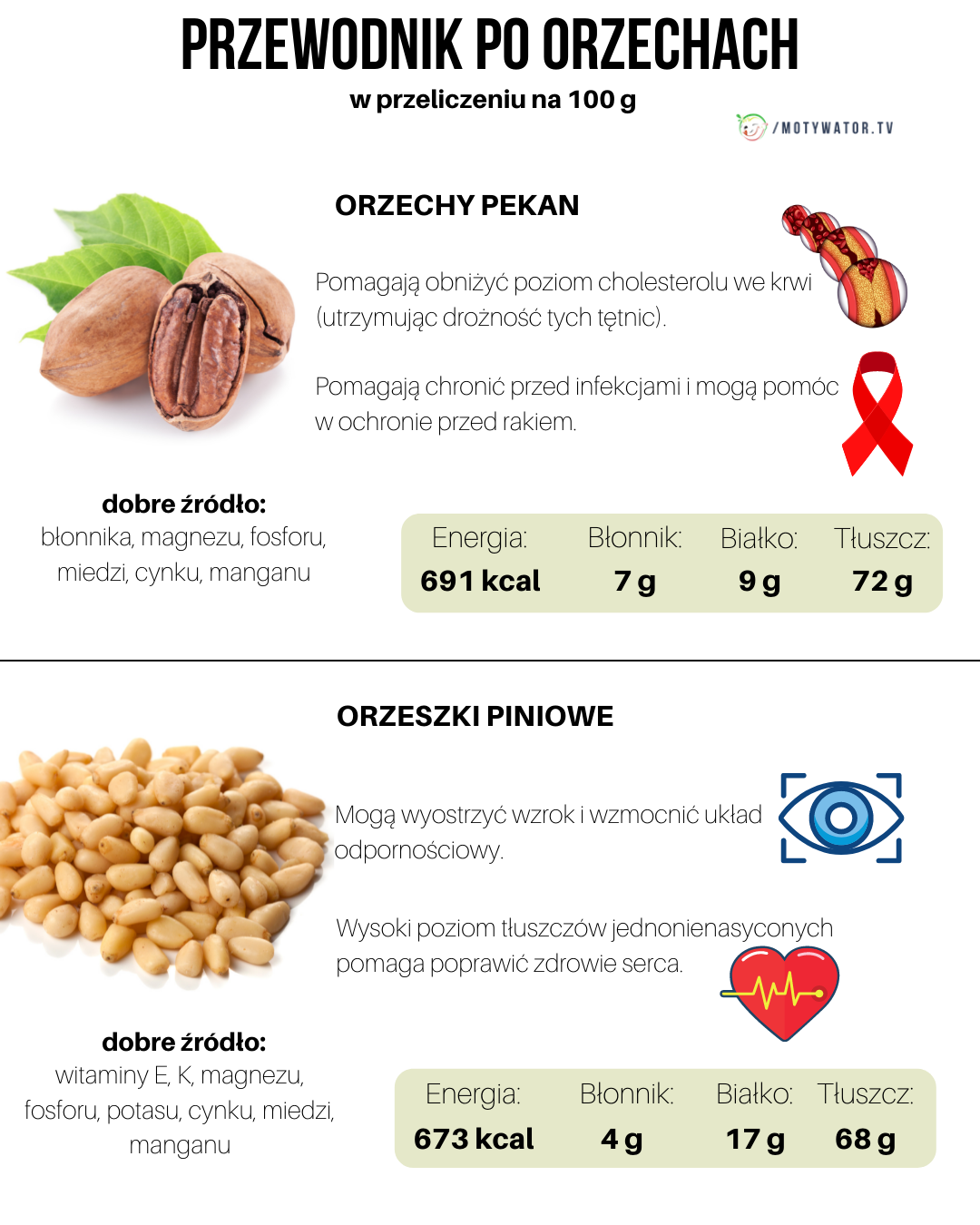 Przewodnik po orzechach - część 4