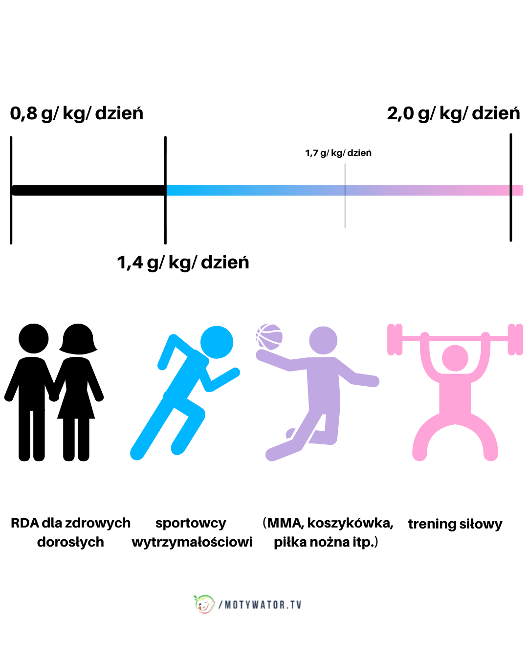 Ile białka musisz jeść w różnych dyscyplinach sportowych ?