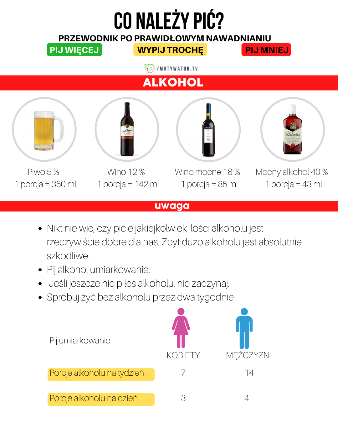 Przewodnik po prawidłowym nawadnianiu - alkohol