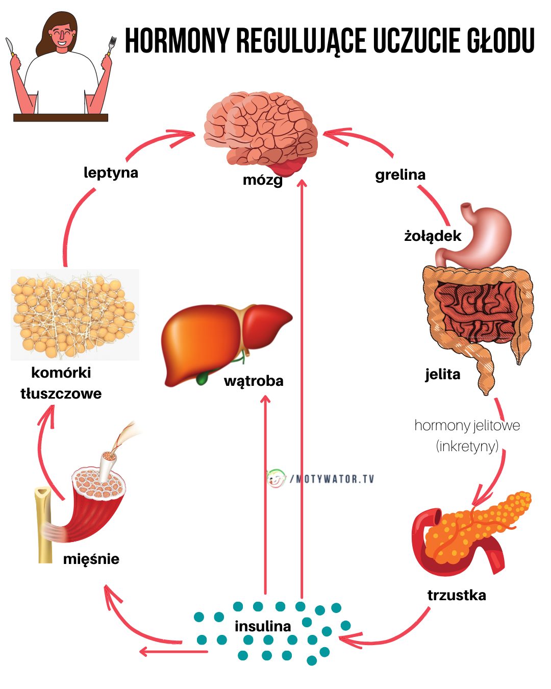 Hormony regulujące uczucie głodu