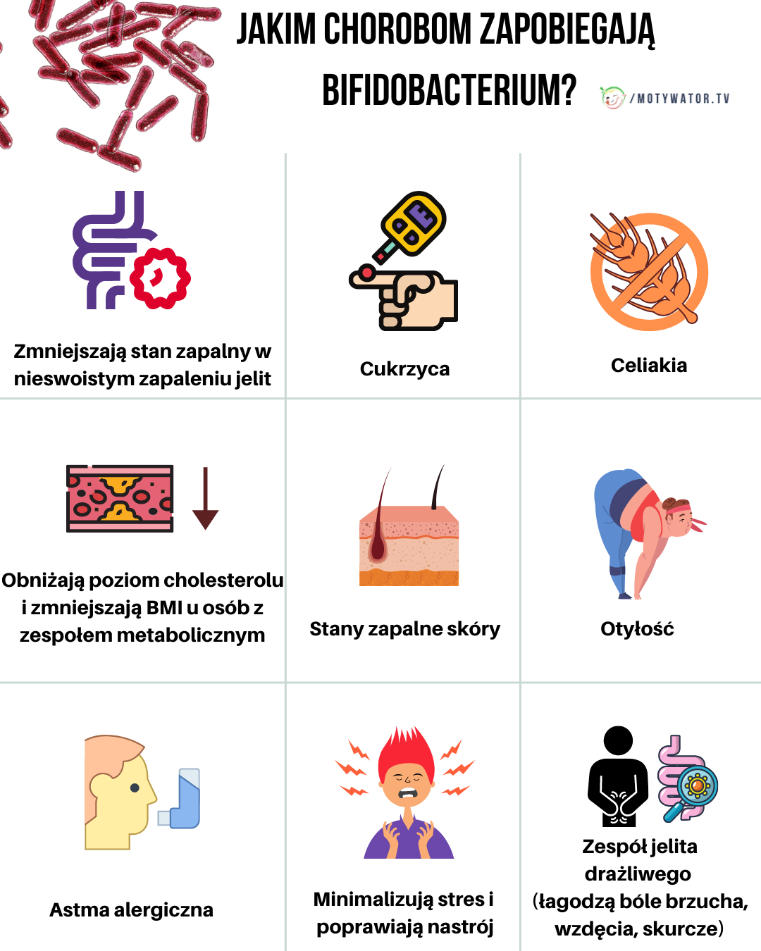 Jakim chorobom zapobiegają bifidobacterium ?