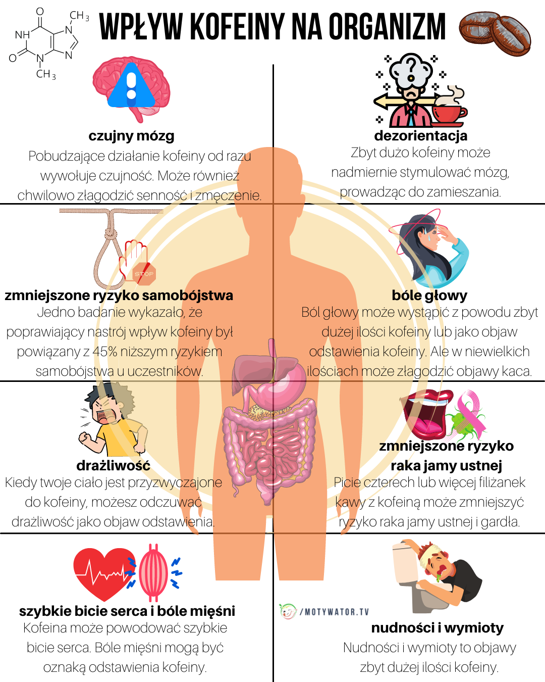 wpływ kofeiny na organizm - część 1