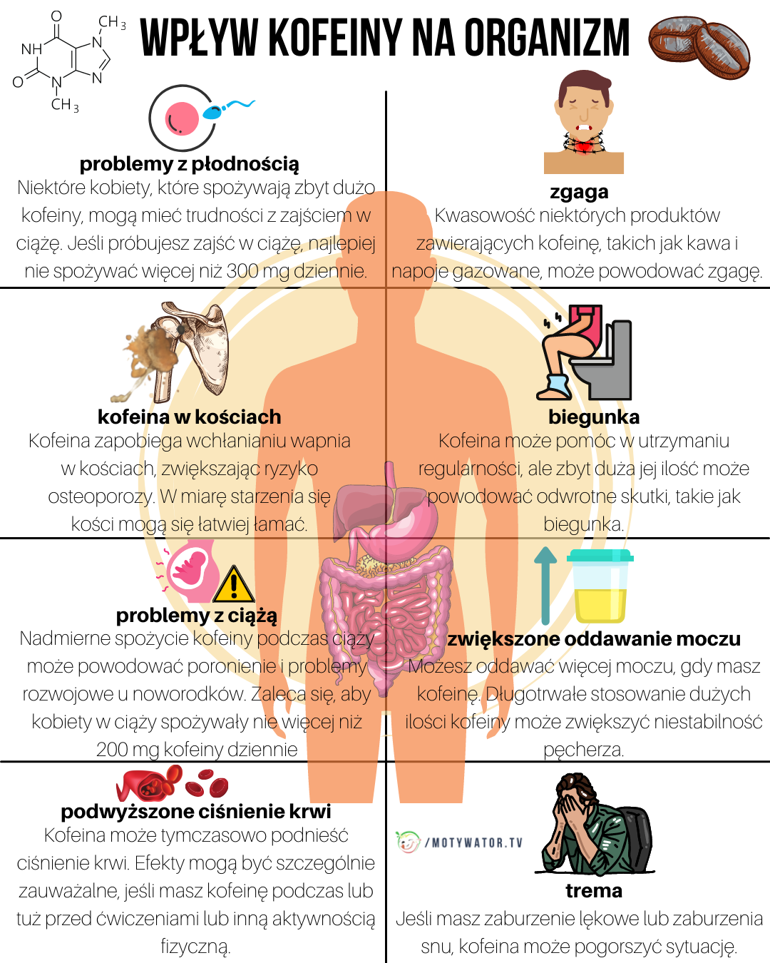 Wpływ kofeiny na organizm - część 2