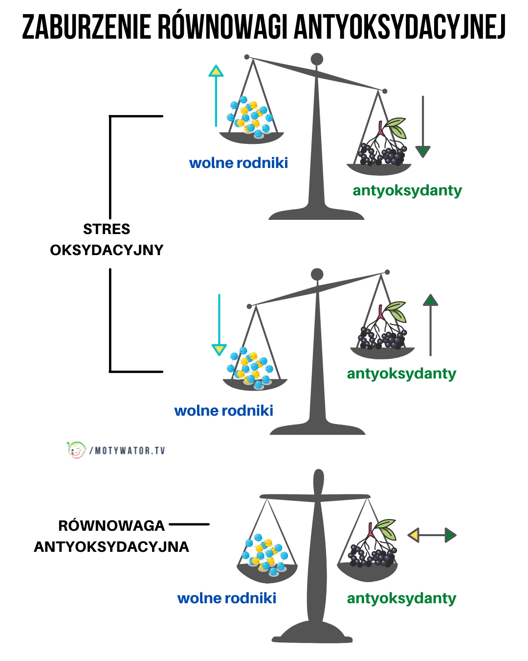 Zaburzenia równowagi antyoksydacyjnej