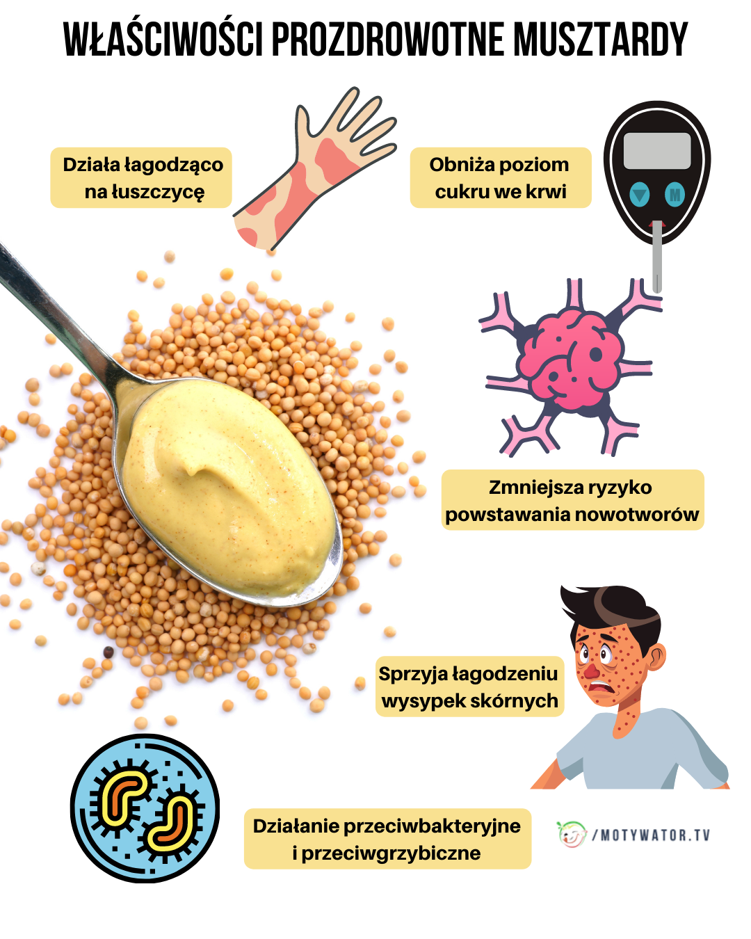 Właściwości prozdrowotne musztardy