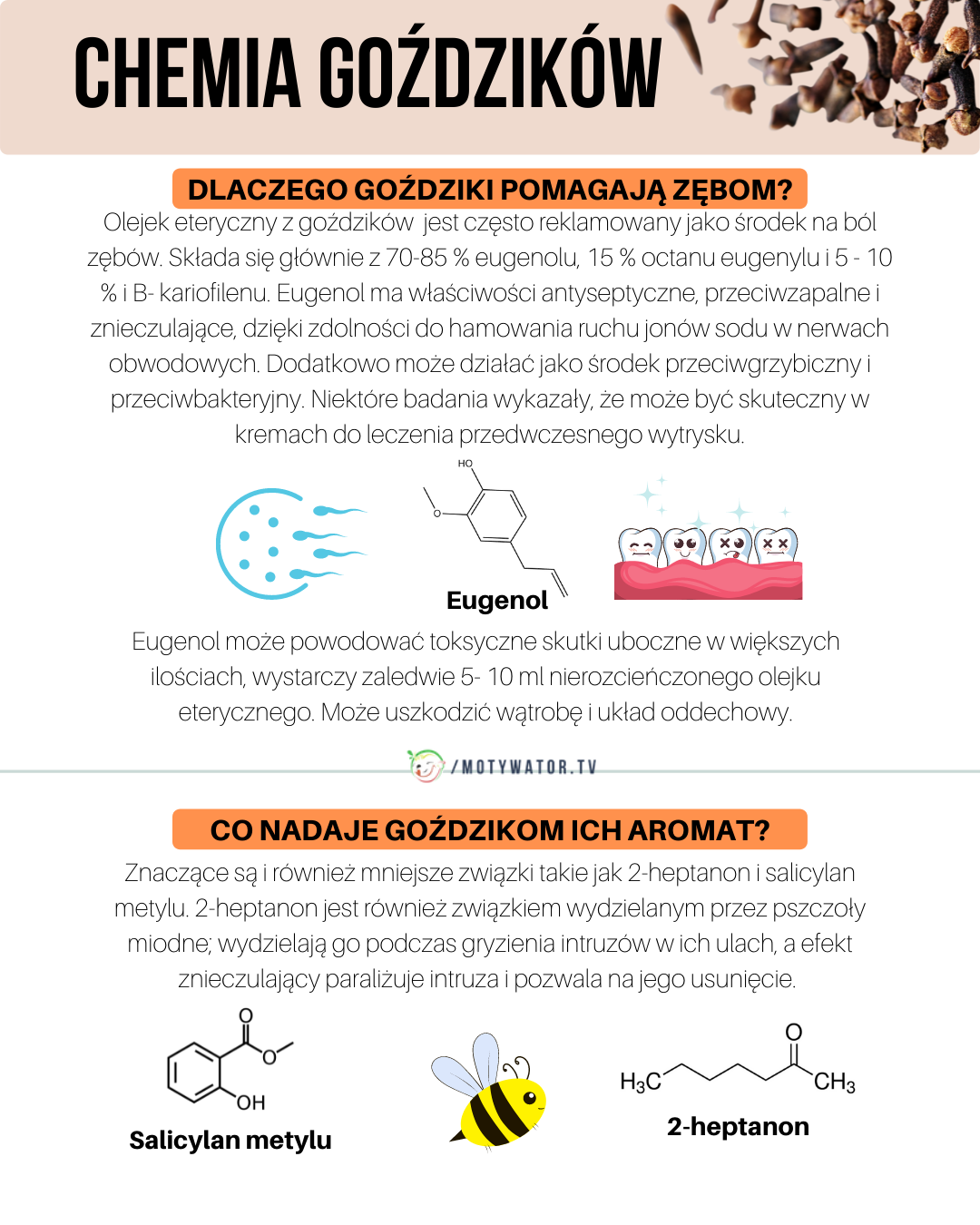 2heptanon motywator.tv