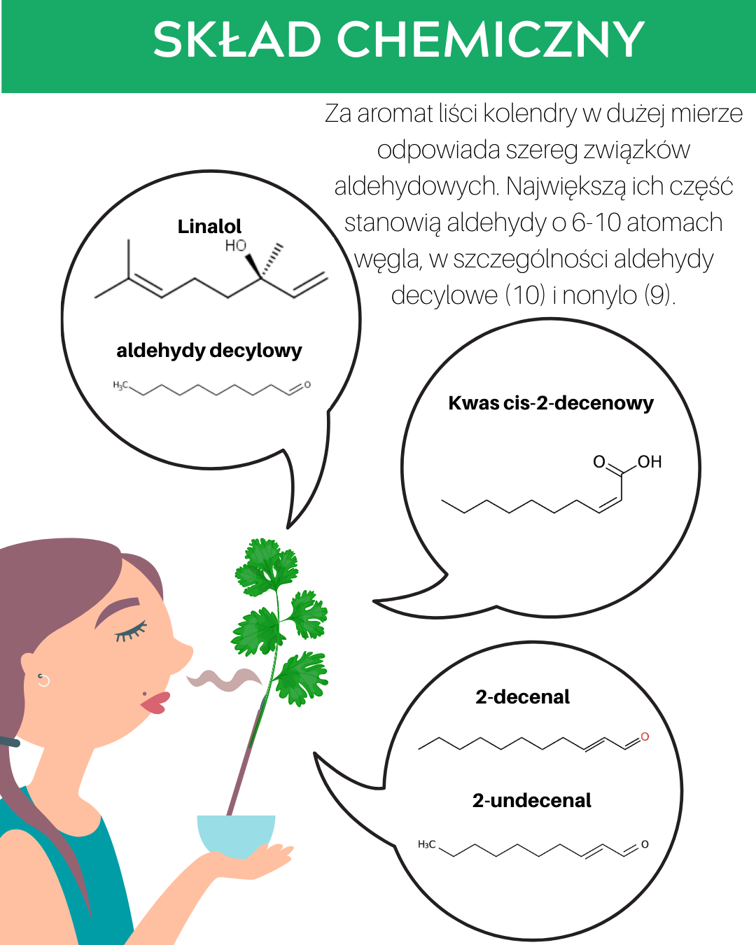 Chemia kolendry - część 1