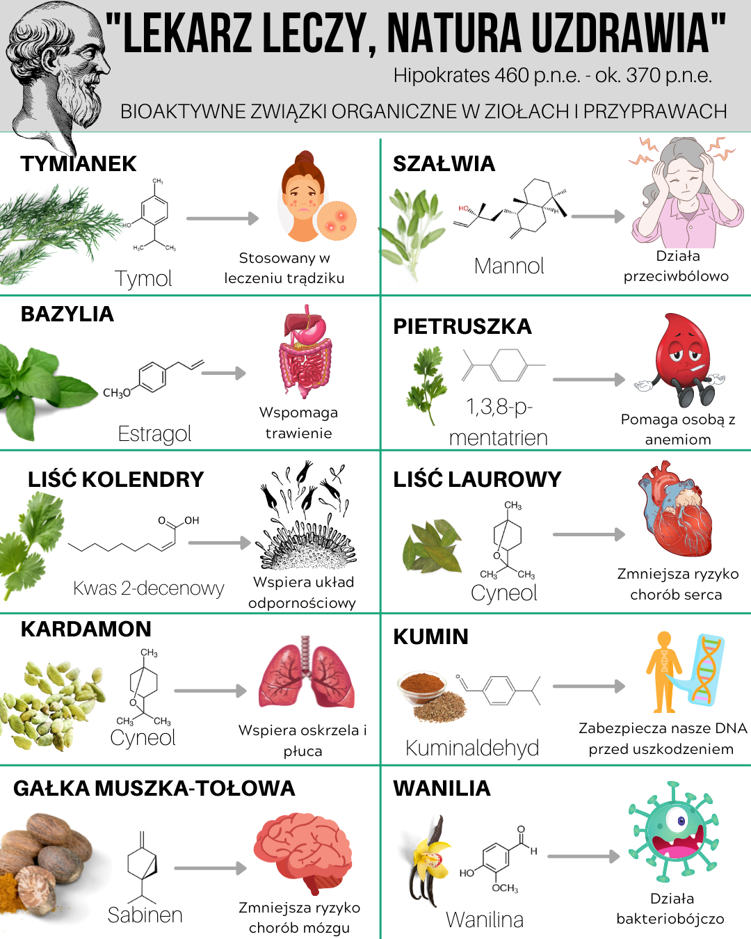 Lekarz leczy, natura uzdrawia