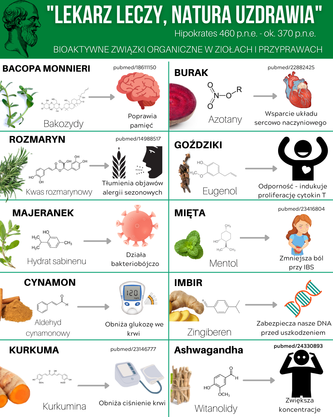 Główne związki organiczne w ziołach i przyprawach