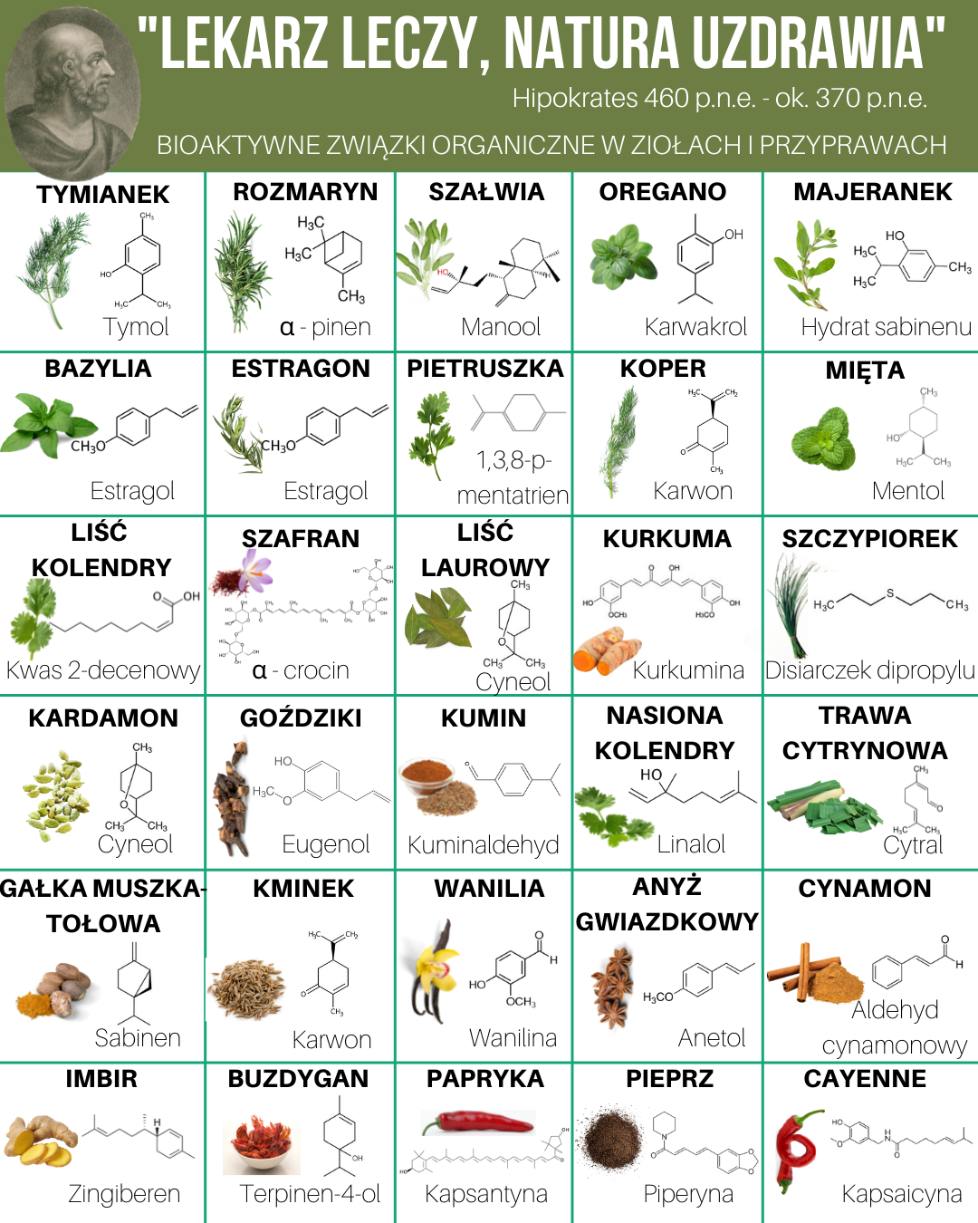 Bioaktywne związki organiczne w ziołach i przyprawach
