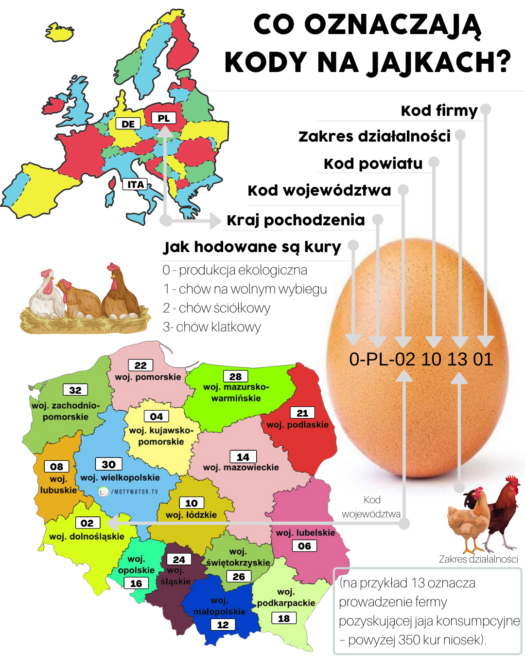Co oznaczają kody na jajkach ?