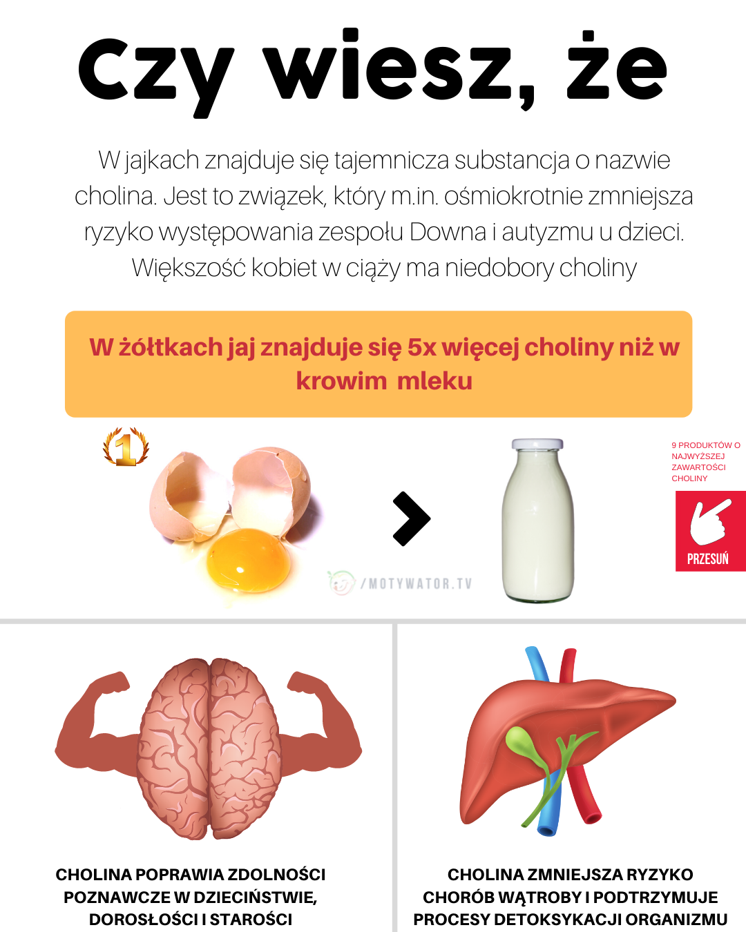 Co wiemy jeszcze o jajkach