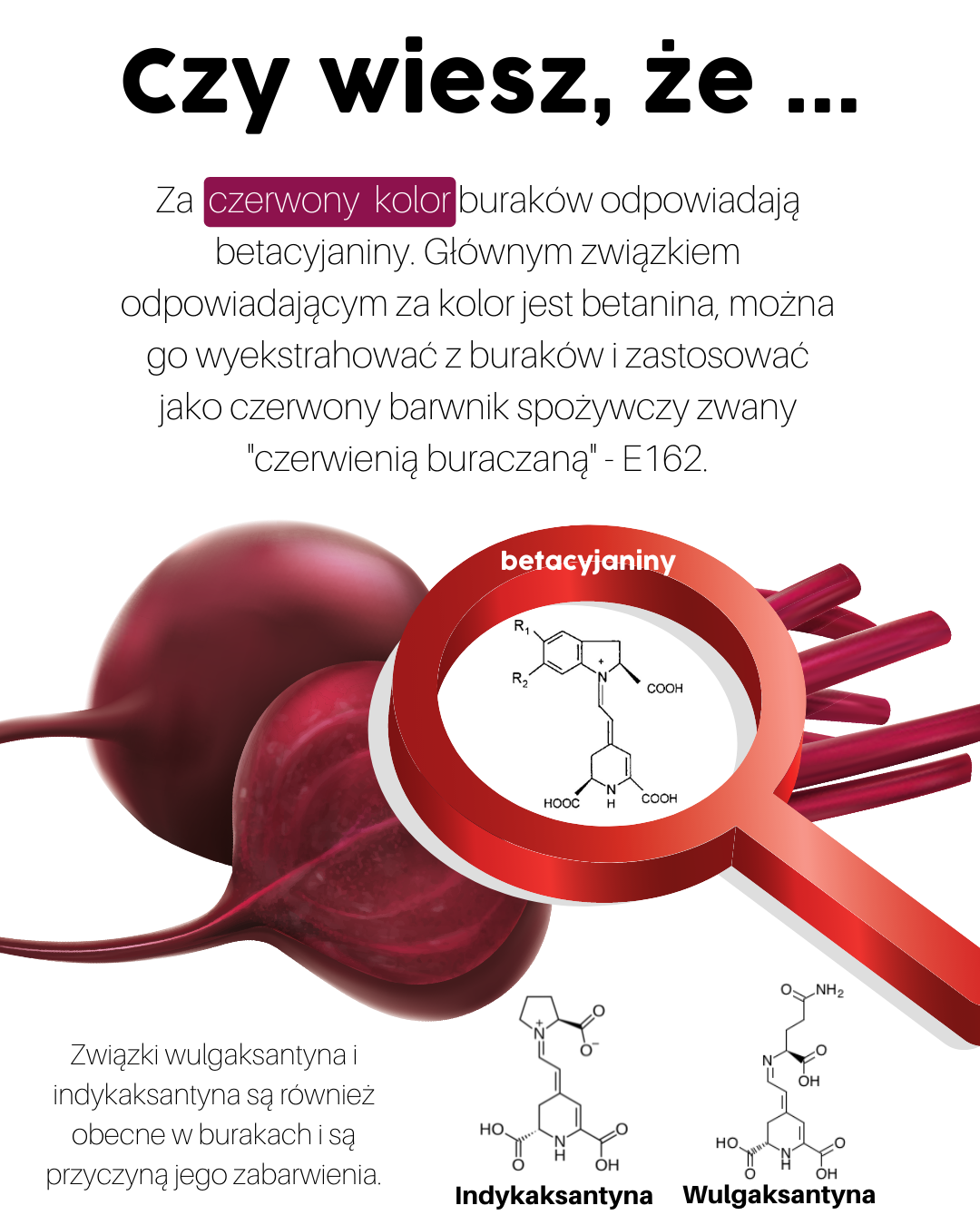 Chemia buraka - część 2