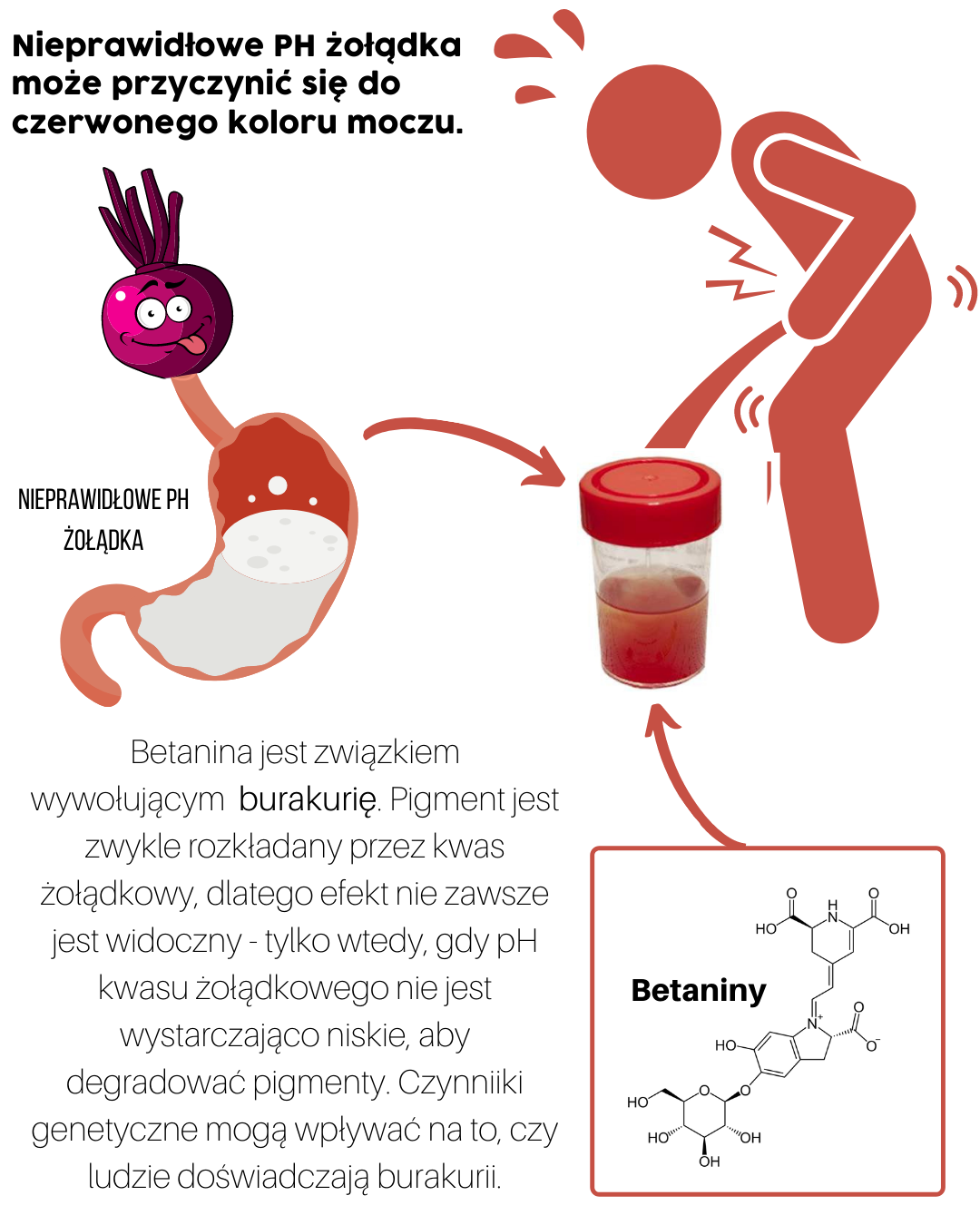 Chemia buraka - część 3