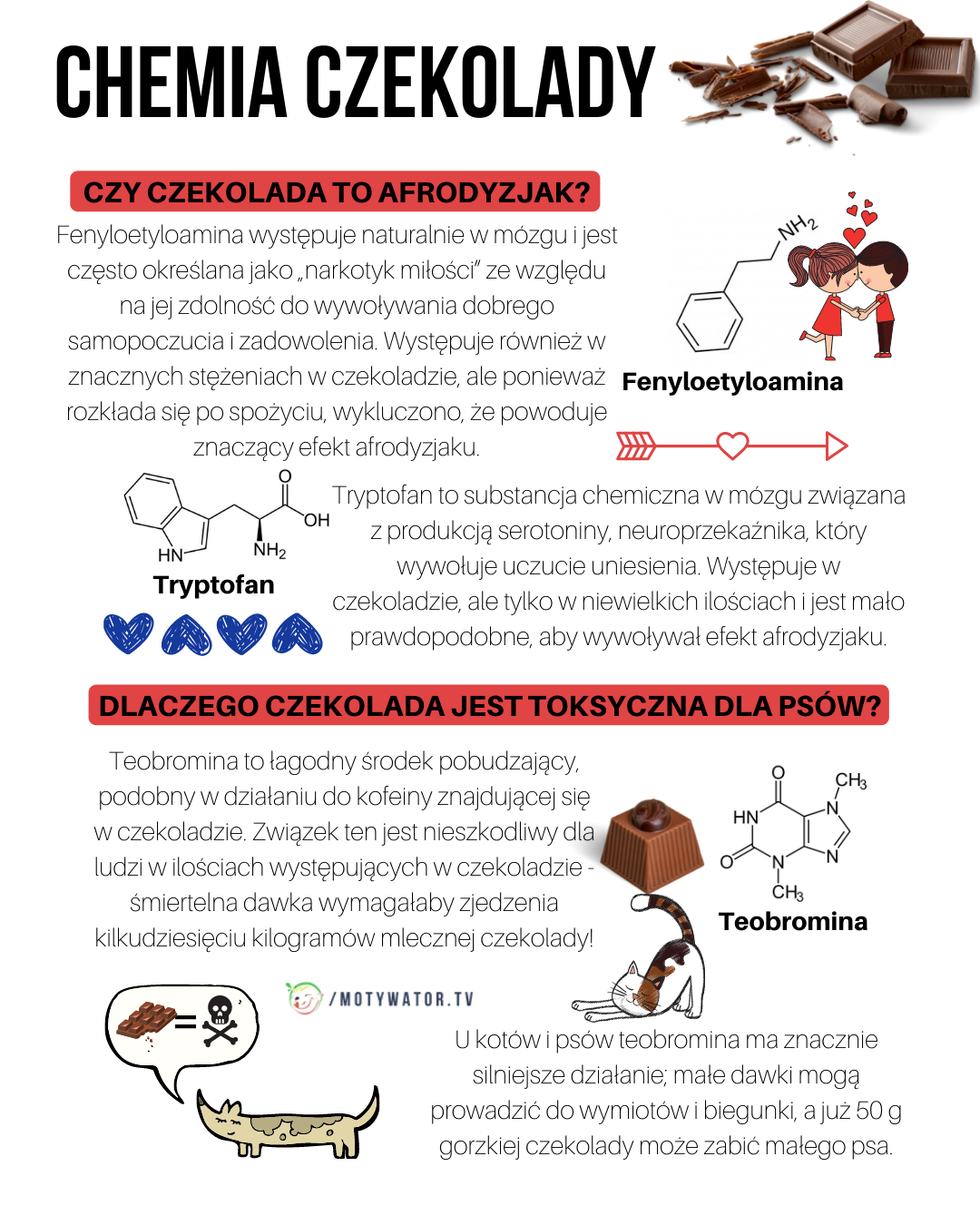 Chemia czekolady - część 1