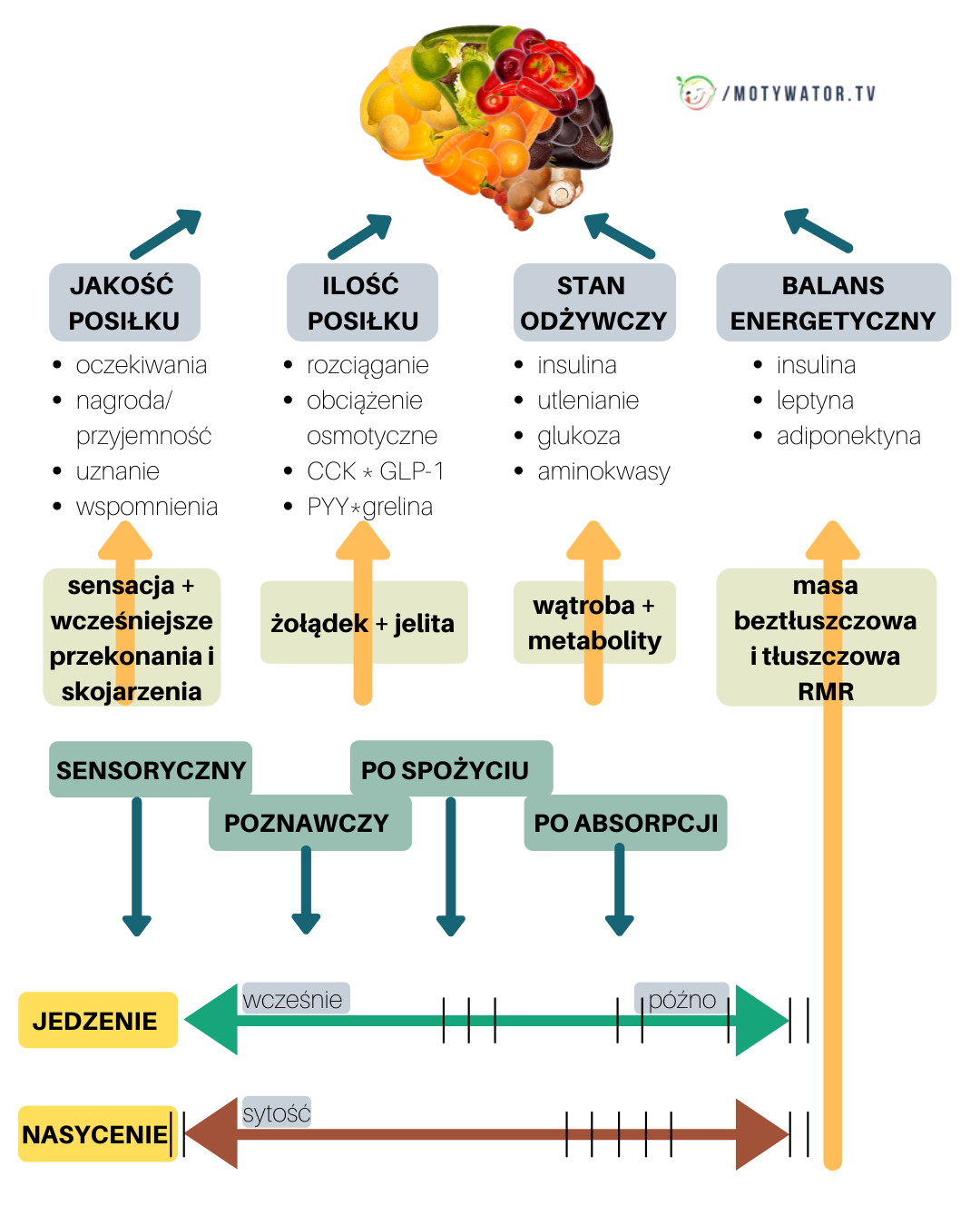 Od jedzenia do sytości