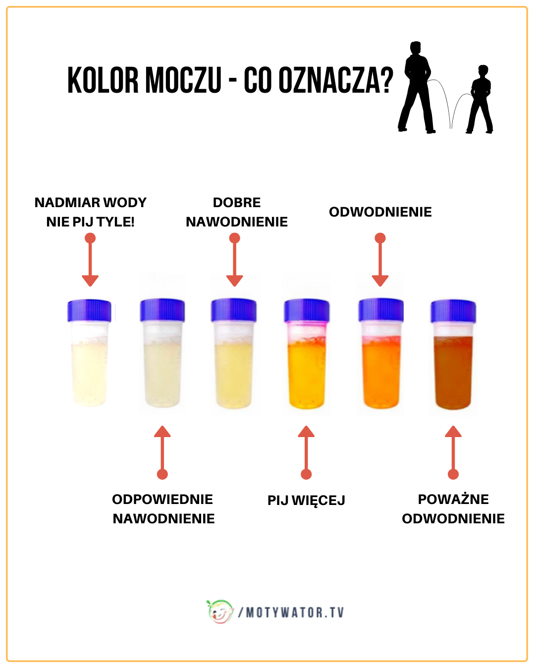 Kolor moczu - co oznacza ?