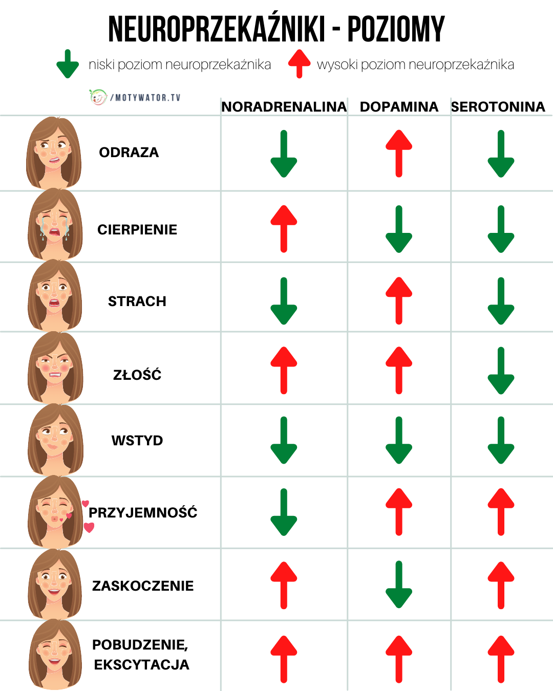 Neuroprzekaźniki - poziomy