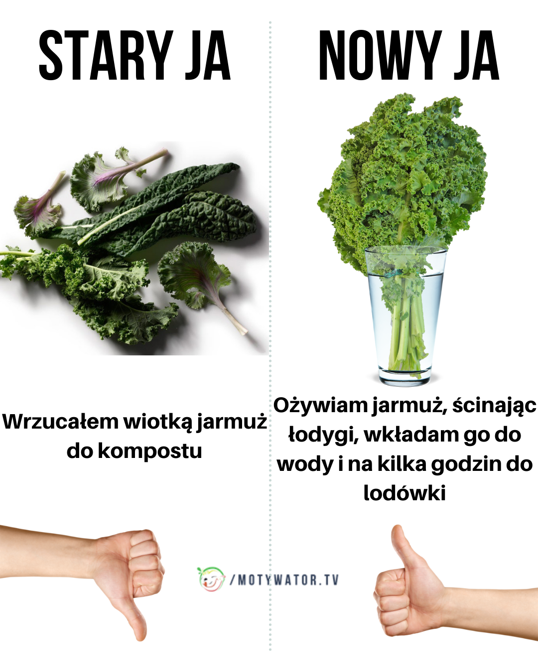 Stary, nowy ja - jarmuż